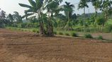 Land for Sale Bandaragama