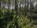 Land for Sale – Bandaragama