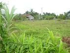 Land for Sale Bandaragama, Millaniya