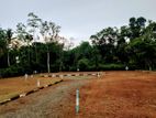 Land for Sale - Bandaragama Town