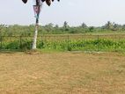 Land for Sale Bandaragma