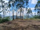 Land for Sale - Bandarawela