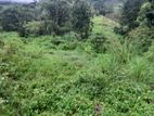 Land for Sale Baragala