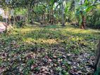 Land For Sale (Bare Land) Ragama