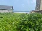 Land For Sale Batatha Thangalla (11 Acres)