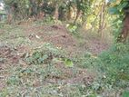 Land For Sale Baththatamulla Koswatta