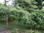 Land for Sale Battaramulla DS 1001