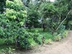 Land for Sale Battaramulla DS 1001