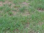 Land for Sale Battaramulla