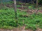 Land for Sale Battaramulla