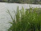 Land for Sale Battaramulla
