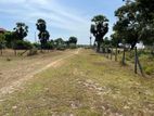 Land for Sale Batticaloa