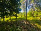Land for Sale Batuwatta