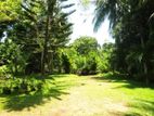 Land for Sale Beddegama