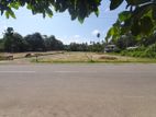 Land for Sale Beliatta