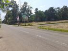 Land For Sale Beliatta