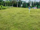 Land for Sale Beliatta