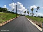 Land for Sale Beliatta Walasmulla