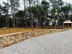 Land For Sale Bellapitiya