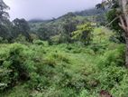 Land For Sale Beragala