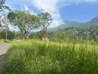 Land for Sale Beragala