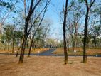 Land For Sale Beruketiya
