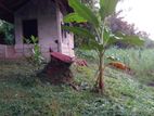 Land for Sale Yudaganawa Rajamaha Viharaya Buttala