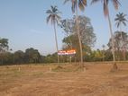 Land for Sale බිංගිරිය