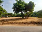 Land For Sale Biyagama- මල්වාන