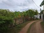 Land for Sale (blf29) Ratmalana
