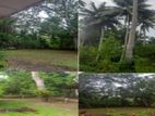 Land for sale (blf37) Habaraduwa Galle