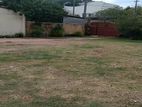 Land for Sale (blf73) Ratmalana
