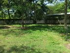 Land for sale boarded to river at Panadura - Sarikkammulla