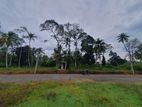 Land for Sale Bogahagoda