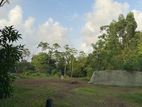 Land for Sale – Bolgoda (250 Perches)