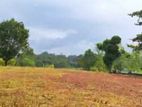 Land for Sale Bolgoda DS8575