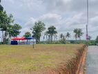 Land for Sale - Bolgoda Lake View