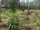 Land For Sale Boragodawatte