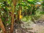 Land for Sale Boralasgamuwa , Abagahapura