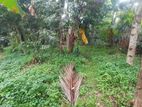 Land for sale Boralasgamuwa Aberathnamawatha