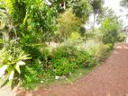 Land for sale Boralasgamuwa Abillawaththa