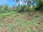 Land for sale Boralasgamuwa Abillawaththa