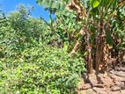 Land for sale Boralasgamuwa Abillawaththa