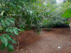 Land for sale Boralasgamuwa Abillawaththa road