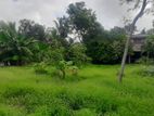 Land for sale Boralasgamuwa