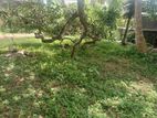 Land for Sale Boralasgamuwa