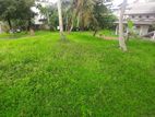 Land for sale Boralasgamuwa