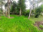 Land for sale Boralasgamuwa