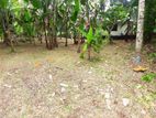 Land for sale Boralasgamuwa