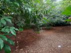 Land for sale Boralasgamuwa